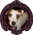 Baxter